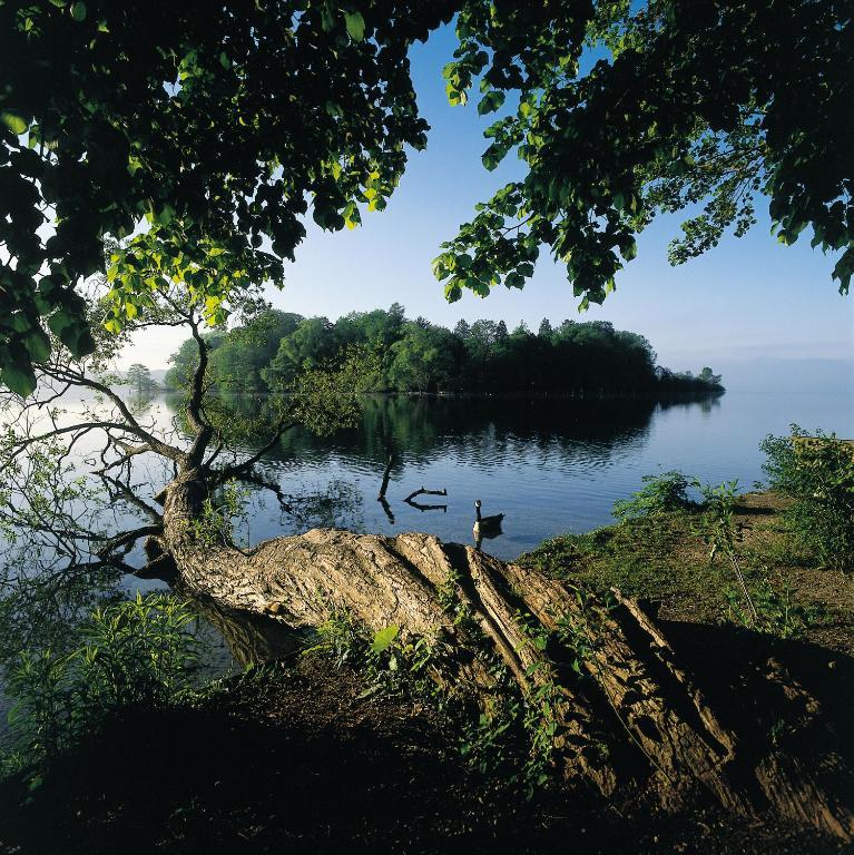 Hotel Residence Starnberger See Feldafing Kültér fotó